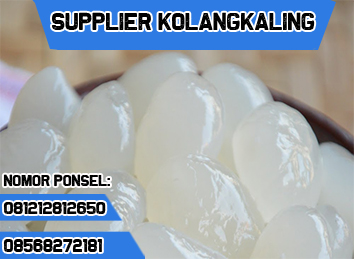 081212812650 Grosir Agen Pusat Distributor Kolang-Kaling Kualitas Super Harga Murah